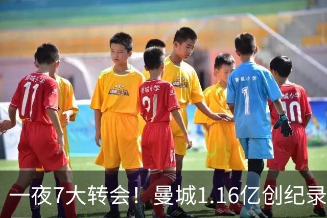 一夜7大转会！曼城1.16亿创纪录，渣叔接手德国队，英超意甲西甲大洗牌